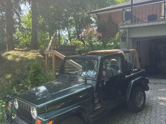 jeep tj - 1998 (collectors plate)