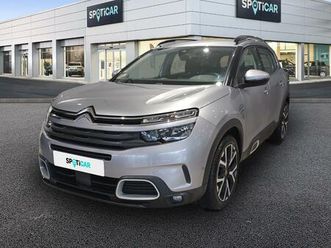 bluehdi 130 s&s eat8 business