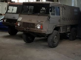vendo 2 pinzgauer