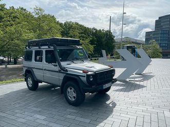 mercedes-benz g 300 cdi professional w461