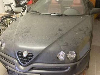 alfa romeo spider gtv