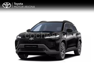 vehículo de sustitución