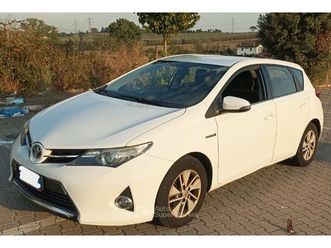 unico proprietario, non funmatore