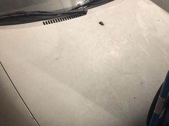 seicento 900i cat young