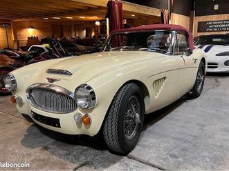 magnifique austin healey