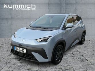 byd dolphin surf comfort