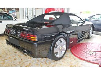 spider cat tutta certificata