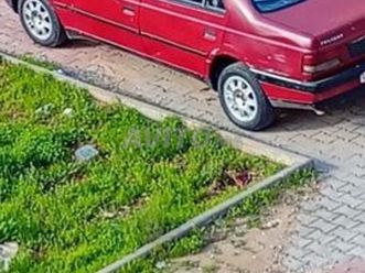 voiture de type peugeot 405