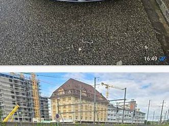 alfa romeo 147 2.0 ts 150ps canton basel-landschaft - tutti.ch