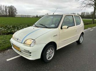 seicento 1.1 young