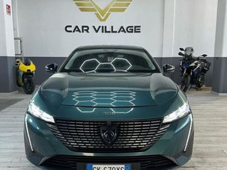 308 308 bluehdi 130 s&amp;s sw allure pack