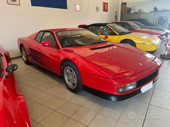 ferrari testarossa cat