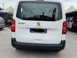 peugeot expert bluehdi 150 s&s pl-tn combi standar