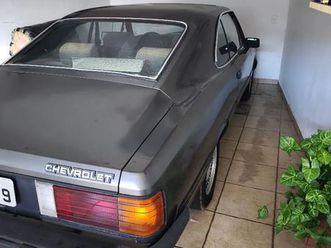 diplomata/diplom. sle 4.1/2.5