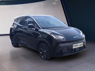 byd dolphin surf comfort