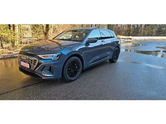 audi q8 e-tron s-line,matrix,20zoll,pano,navi,wr
