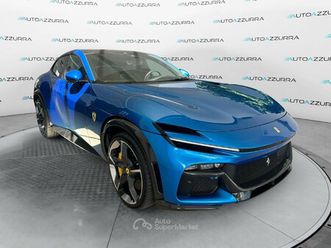 purosangue *iva esposta, pronta consegna*