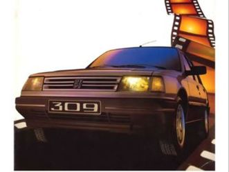 peugeot 309 1,7 diesel pour collectionneur