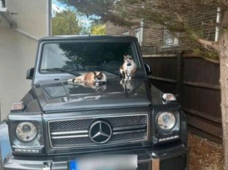 mercedes-benz rarer g65 amg