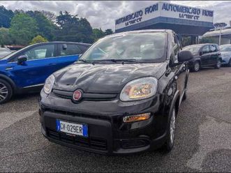 fiat panda 1.0 firefly hybrid s&s 70cv 5p.ti nuova a roma