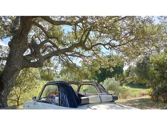 1960 autobianchi bianchina trasformabile