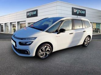 grand c4 picasso bluehdi 120 s&s eat6 business
