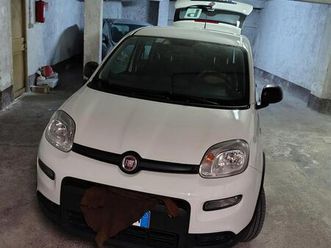 fiat panda hybrid 2024