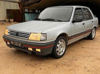 cause santé 309 gti en cours de restauration