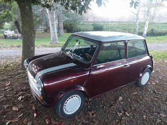 austin mini 1000