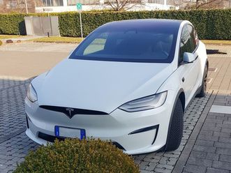 model x model x plaid