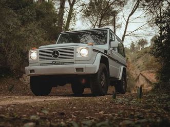 mercedes-benz g 300