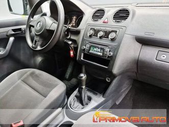 2.0 ecofuel van maxi