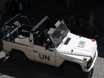 mercedes-benz g 250 gd wolf