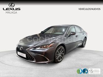 vehículo de sustitución