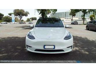 model y performance dual motor awd