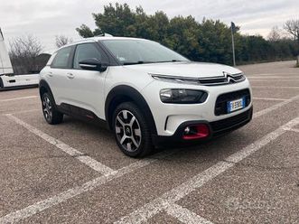 c4 cactus