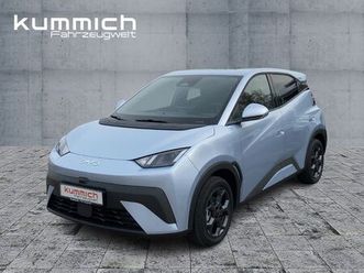 byd dolphin surf comfort