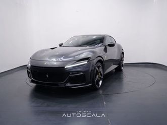 purosangue purosangue