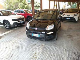 panda 1.0 firefly s&s hybrid icon