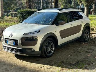 c4 cactus shine
