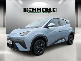 byd dolphin surf comfort*förderfähig!!