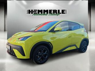 byd dolphin surf comfort*förderfähig bis zu 6000€