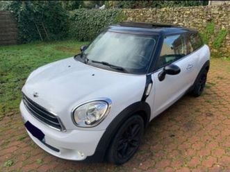 mini paceman