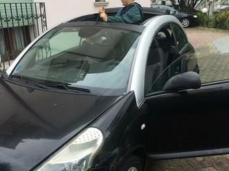 neopatentati c3 pluriel