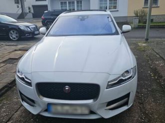 jaguar xf in weiss top zustand