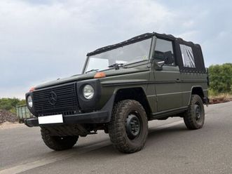 mercedes-benz g 250