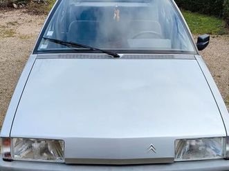 citroen bx gris clair