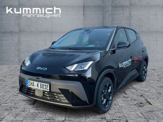 byd dolphin surf boost