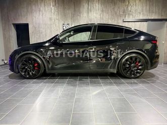 tesla model y performance dual motor awd,pano,21