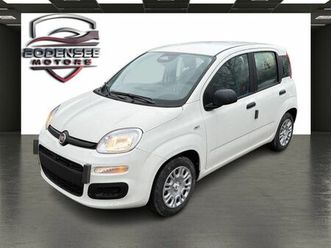 fiat panda pandina icon